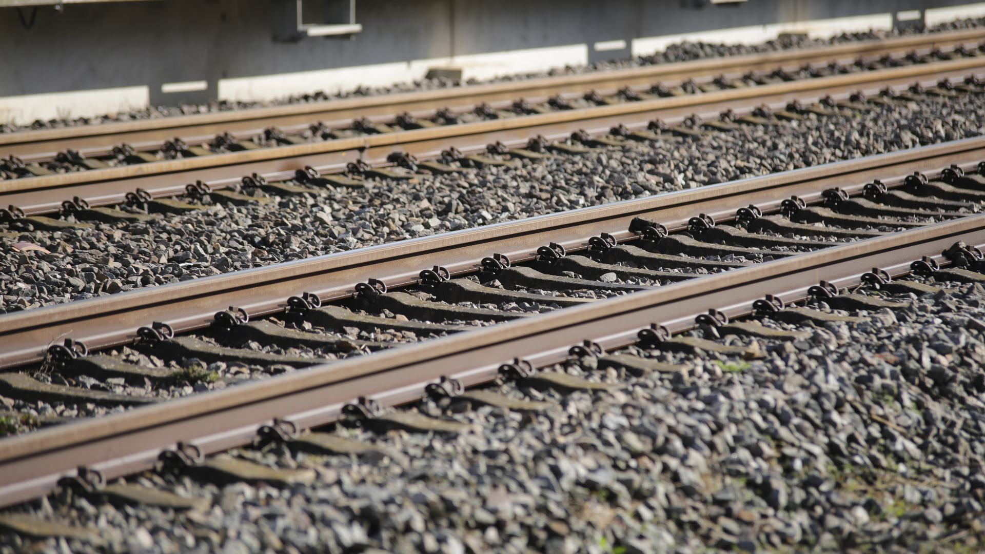 Gr�nes Licht f�r die Krebsbachtalbahn