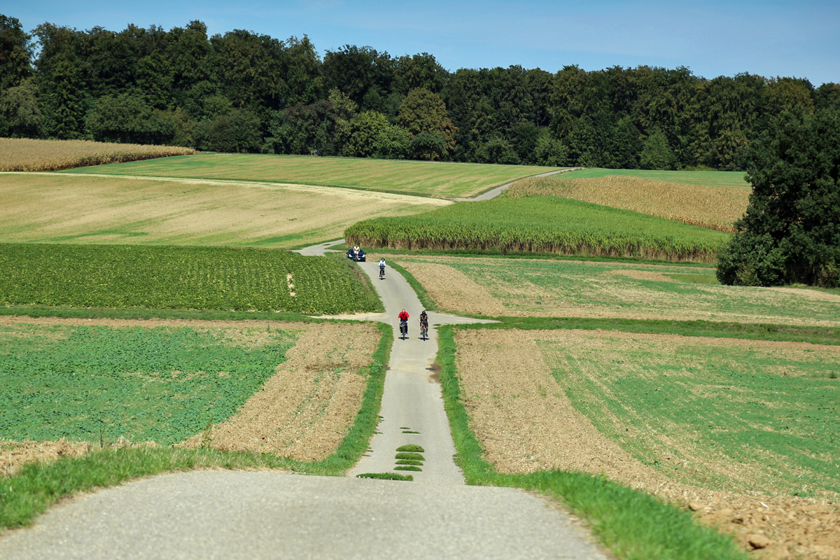 Blick in die Landschaft (Foto: Team Sch�tte)