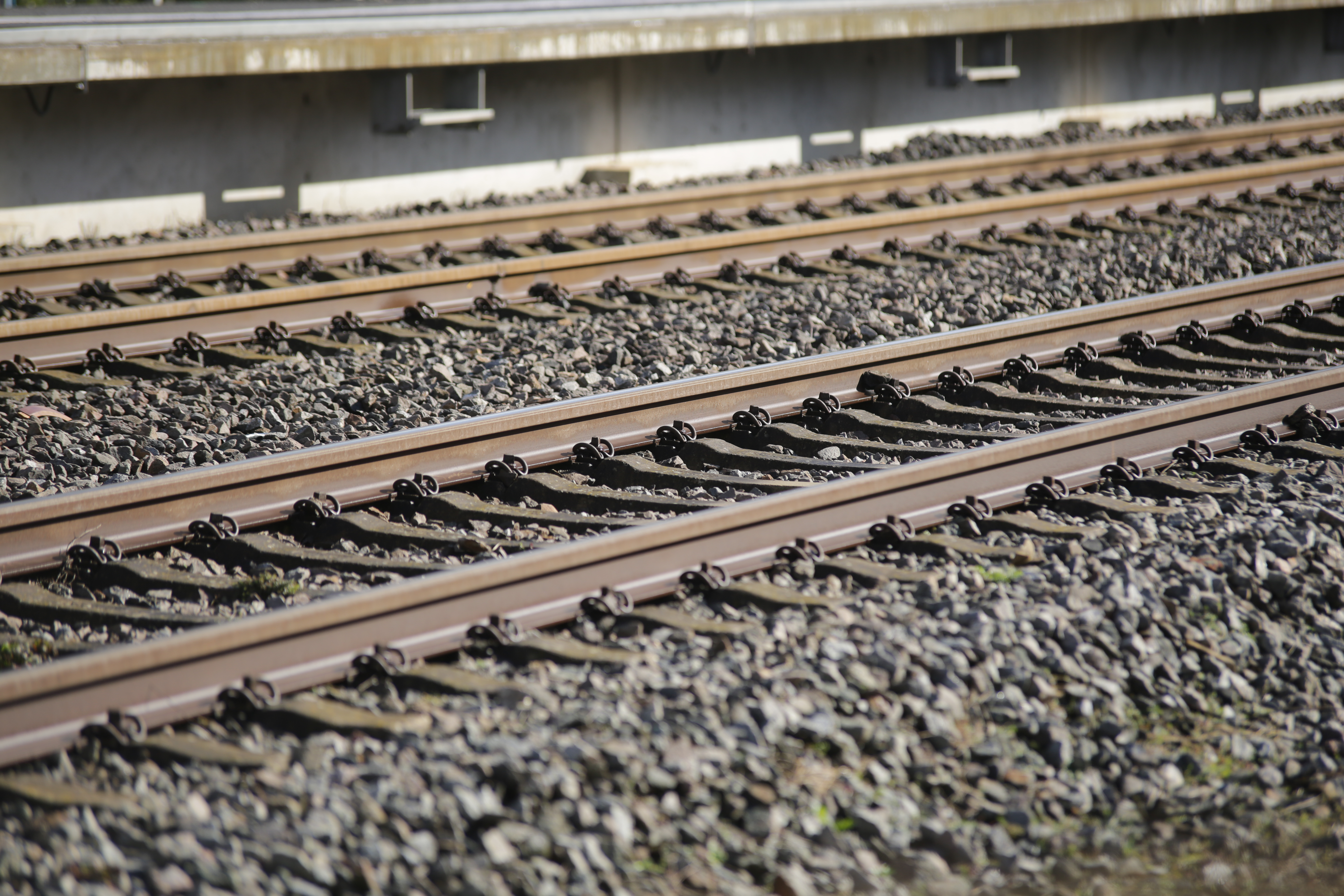 Symbolbild: Bahnschienen (Foto: Christine Fischer)
